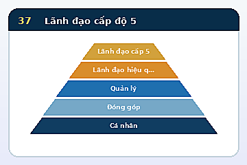 Minh họa cấu trúc Mô hình Lãnh đạo cấp độ 5